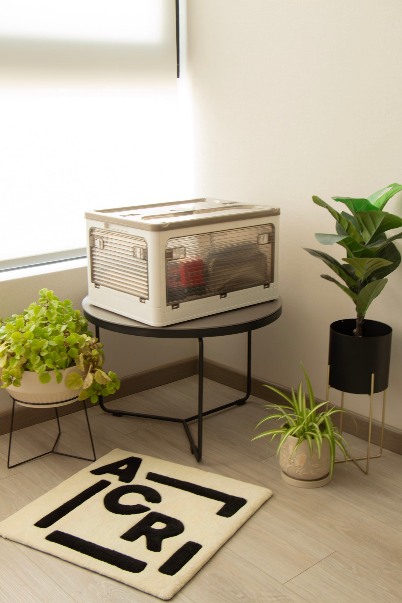 Cajas Organizadoras Plegables